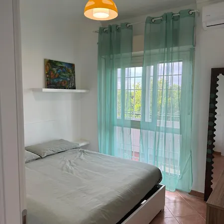 Tasman Apartment